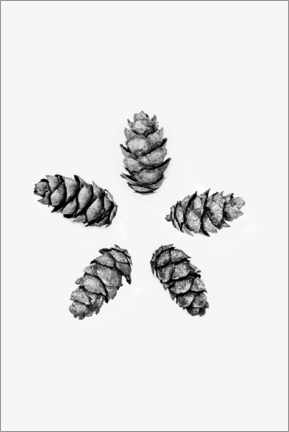 Póster Pine Cones