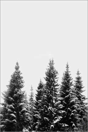 Póster Snow Covered Trees