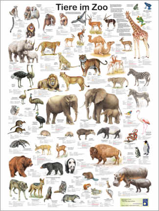 Wandbild Tiere im Zoo - Planet Poster Editions