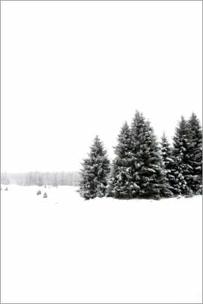 Poster White snow and winter landscape