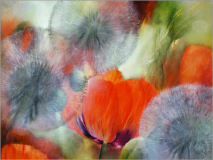 Poster Poppies and dandelions II