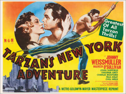 Juliste Tarzans New York Adventure