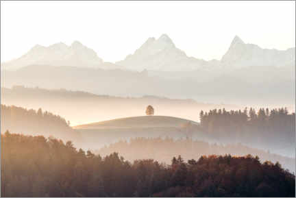 Leinwandbild  Eiger, Mönch und Jungfrau an einem nebligen Morgen im Herbst - Marcel Gross