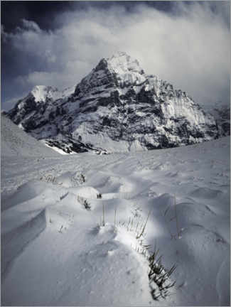 Poster Swiss mountains over Grindelwald