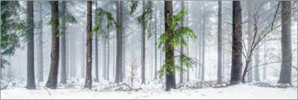 Poster Wald Panorama im Winter