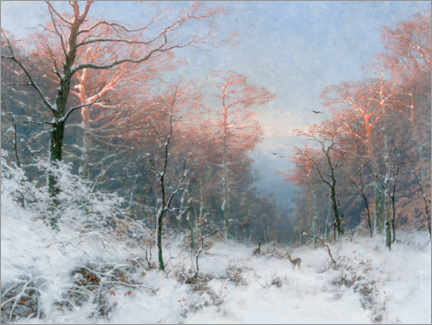 Poster Winter evening in the forest