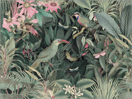 Print  Tropical Midnight Jungle Birds - Andrea Haase