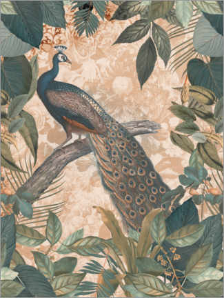 Lienzo  Vintage Peacock - Andrea Haase