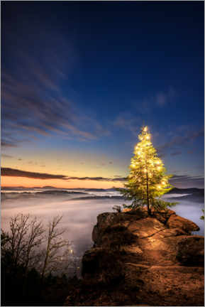 Wall print  Christmas tree in the Palatinate Forest at sunrise - Jan Wehnert