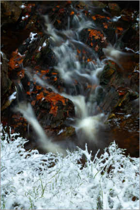 Obra artística  Winter and autumn with a small waterfall - Jos Pannekoek
