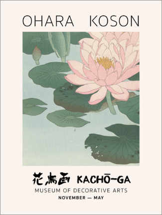 Alubild  Water Lily, 1920-1930 - Ohara Koson