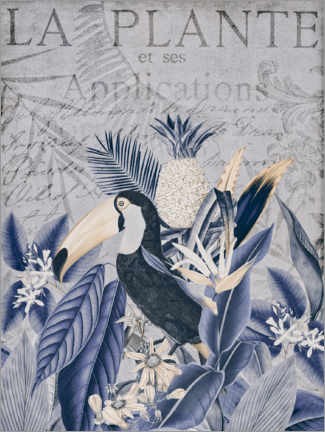 Poster  Toucan in the tropical paradise - Andrea Haase