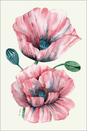 Poster Pink Poppies