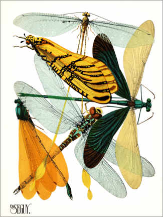 Tableau  Dragonflies - Emile Allain Séguy