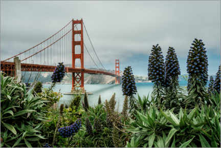 Canvastavla Golden Gate Bridge, San Francisco - Stefan Becker