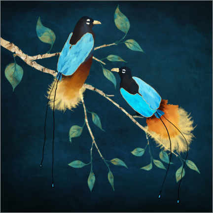 Póster Bird of Paradise I