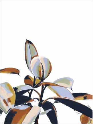 Poster Rubber plant