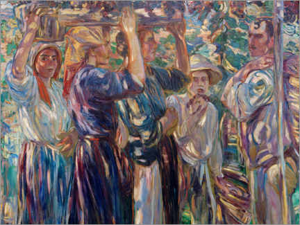 Poster Grape Harvest