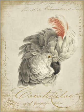 Poster Nostalgic Cockatoo Bird