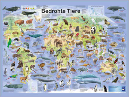 Holzbild  Bedrohte Tiere - Planet Poster Editions