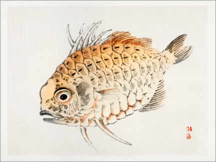 Poster Fisch