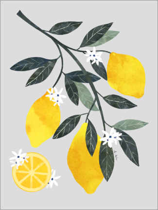 Póster Lemons