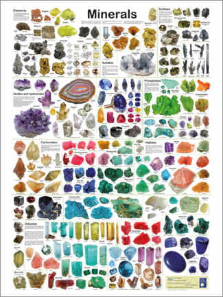 Póster  Os Minerais (inglês) - Planet Poster Editions