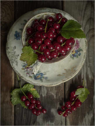 Poster Still life with fresh redcurrants