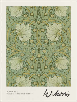 Tableau sur toile  Pimpernel - William Morris