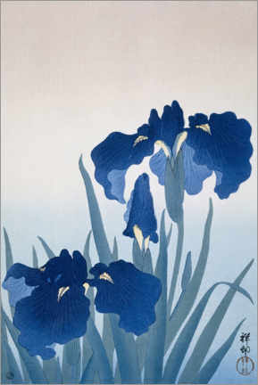Wall print  Irises, c. 1925-36 - Ohara Koson