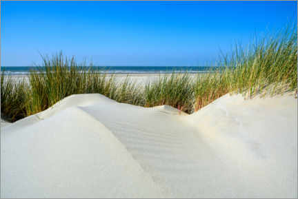 Poster Untouched dune landscape