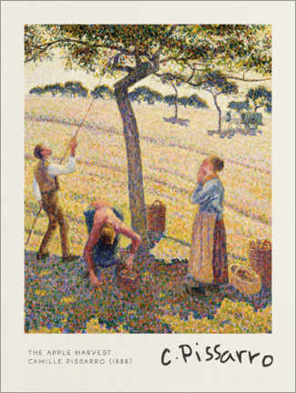 Poster The Apple Harvest