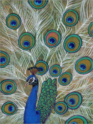Poster Pfau