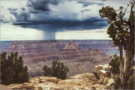 Tableau  Grand Canyon National Park - Chiara Salvadori