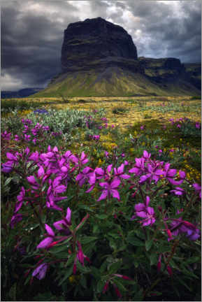 Canvastavla  A summer day in Iceland - Daniel Gastager