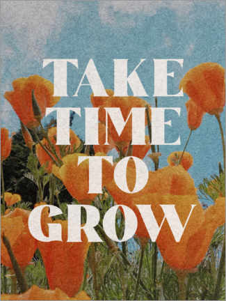 Tableau  Take Time To Grow