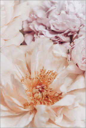 Poster Peonies