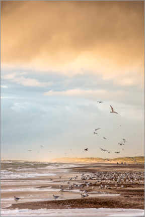 Poster Seagulls on the beach