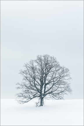 Wandbild Baum im Schnee - Andreas Kossmann