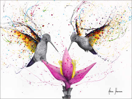 Leinwandbild  Kolibris mit tropischer Blüte - Ashvin Harrison