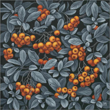 Poster Pyracantha Beeren