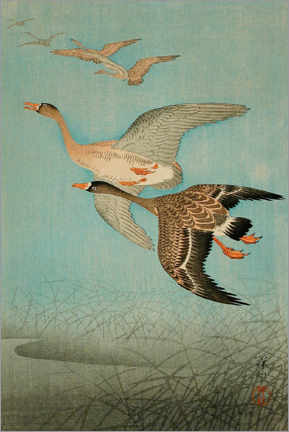 Akrylbilde  Flying Geese, 1926 - Ohara Koson