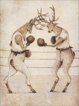Póster Wild Boxing