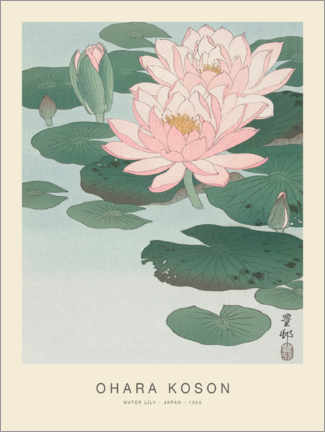 Canvas-taulu  Water Lily, 1926 - Ohara Koson