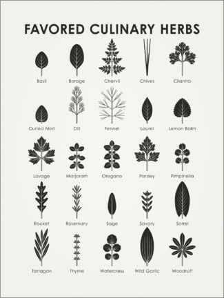 Foam board print  Favored Culinary Herbs - Iris Luckhaus