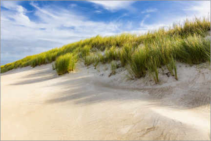 Plakat Dune at the Baltic Sea
