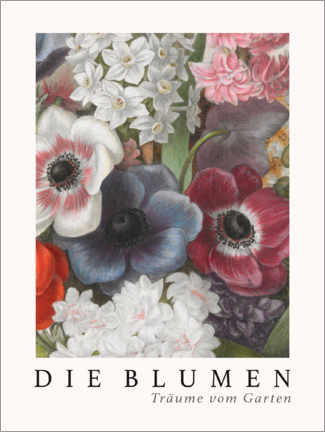 Wandbild  Album Vilmorin, Die Blumen XV - Elisa Champin