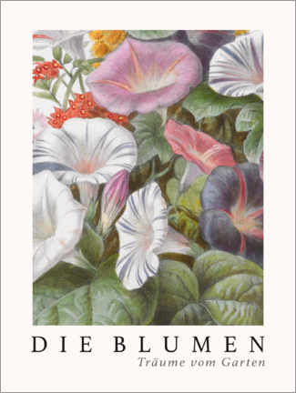 Wandbild  Album Vilmorin, Die Blumen IV - Elisa Champin