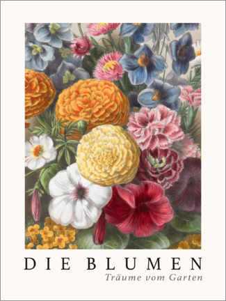 Wandbild  Album Vilmorin, Die Blumen V - Elisa Champin