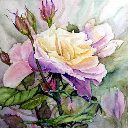 Wandbild  Weiß-Lila Rose - Burkhard Posanski